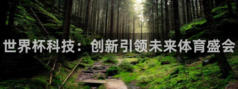 世界杯预选赛亚洲区赛程:世界杯科技:创新引领未来体育盛会