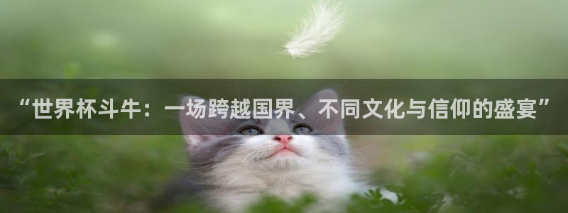 世预赛免费直播入口:“世界杯斗牛:一场跨越国界、不同文化与信仰的盛宴”