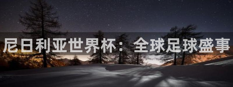 世界杯小组赛赛程:尼日利亚世界杯:全球足球盛事