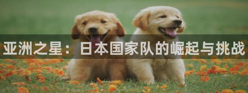 2026世预赛赛程表:亚洲之星:日本国家队的崛起与挑战