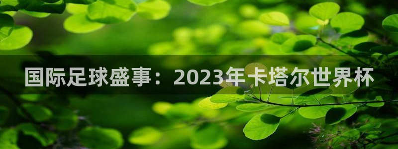 2026世界杯直播:国际足球盛事:2023年卡塔尔世界杯