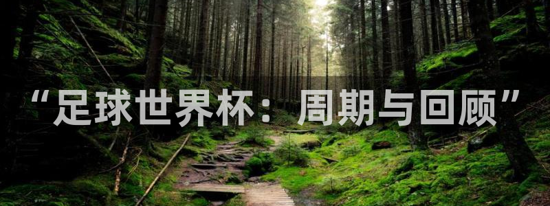 2026年足球世界杯赛程时间表:“足球世界杯:周期与回顾”